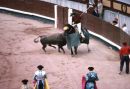 Bull Fight, Madrid